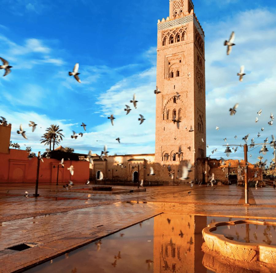 Entreprises à Marrakech - Tourisme et artisanat